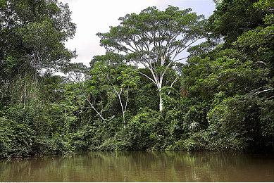 多年之后Valve终于解释游戏中棋盘格报错图案的由来